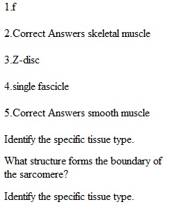 Lab 2 Exam